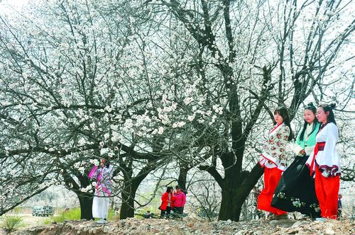 01直播足球 英超直播